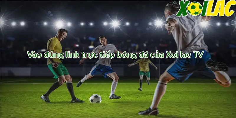 Câu hỏi thường gặp với link xem bóng đá chuẩn nhất